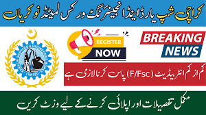 Weapons & Ammunition RNAD Mauripur Karachi Jobs 2025